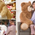 Teddy Day