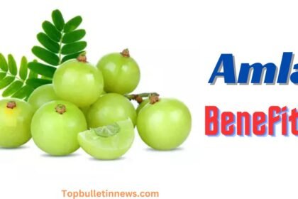 Amla benefits Amla Juice benefits